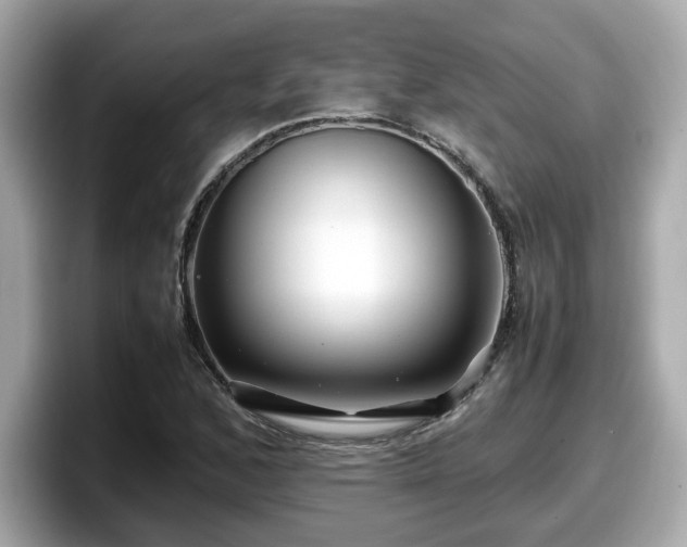 X0000098081168200804110937
