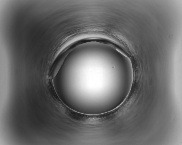 X0000098081169200804110937