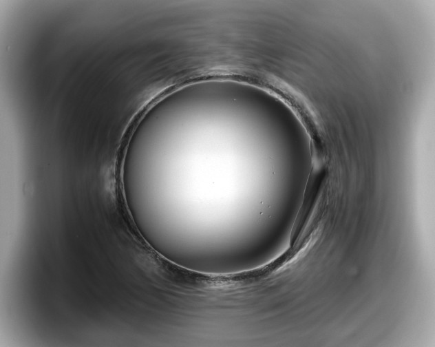 X0000098081170200804110937