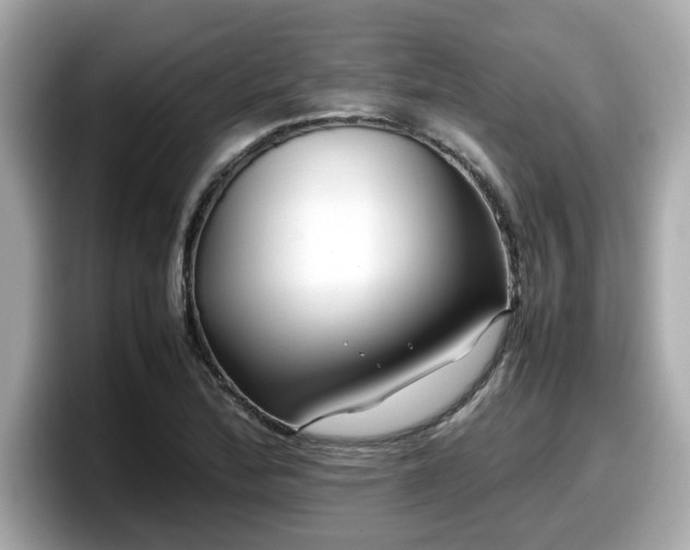 X0000098081172200804110937