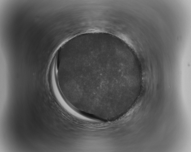 X0000098081173200804110936
