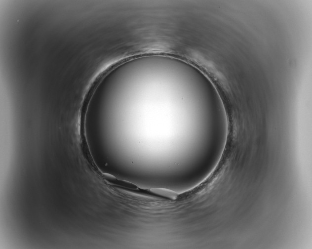 X0000098081174200804110936