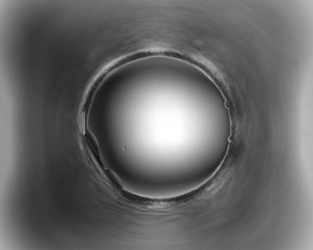 X0000098081175200804110936