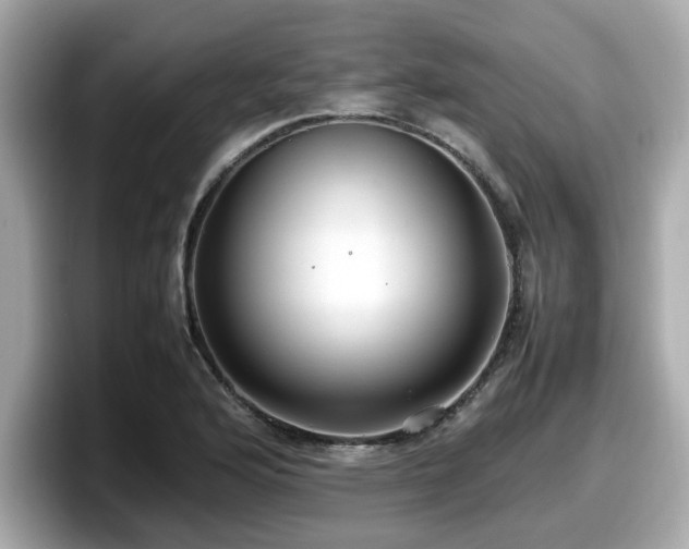 X0000098081176200804110936