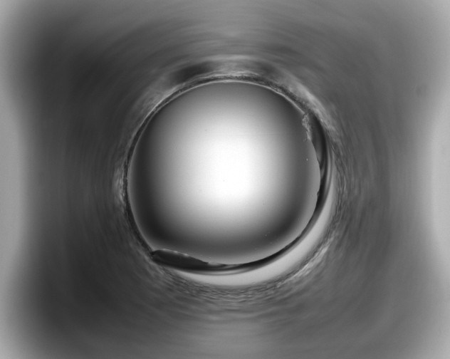 X0000098081177200804110936