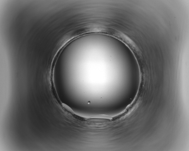 X0000098081178200804110936