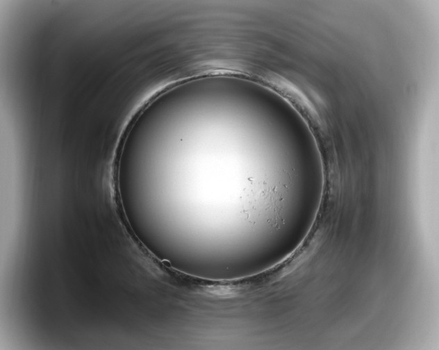 X0000098081182200804110936
