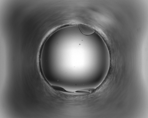 X0000098081183200804110936