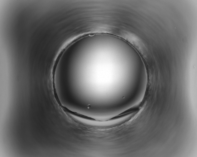 X0000098081184200804110936