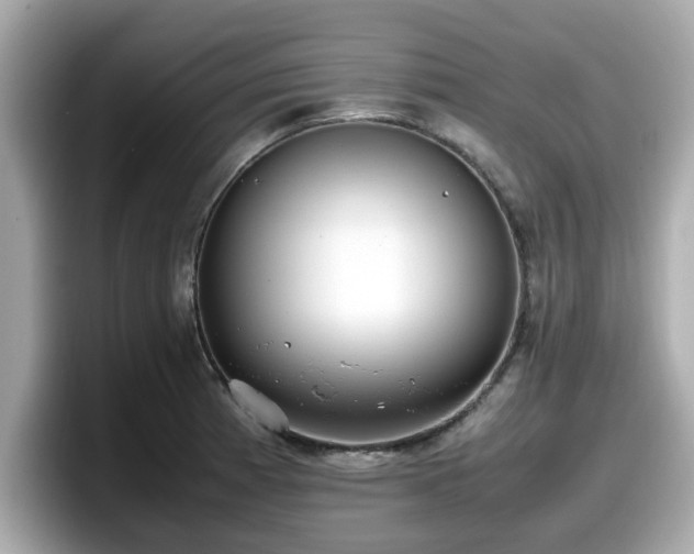 X0000098081185200804110936