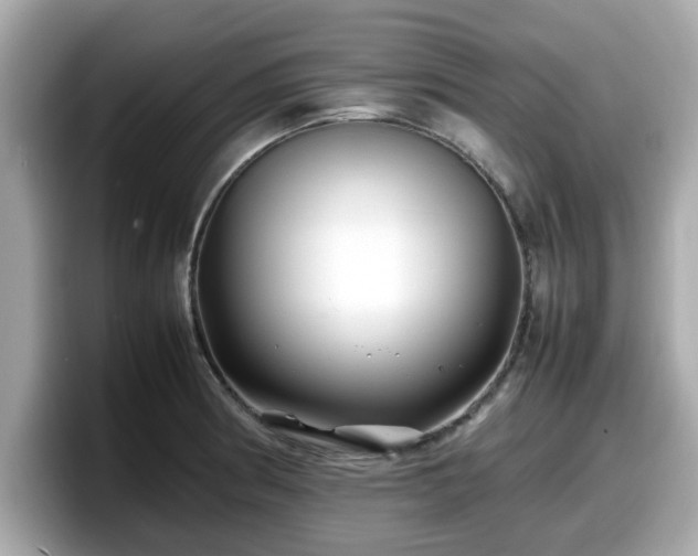 X0000098081186200804110936