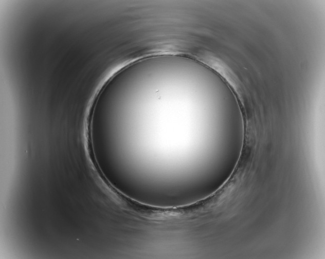 X0000098081187200804110936