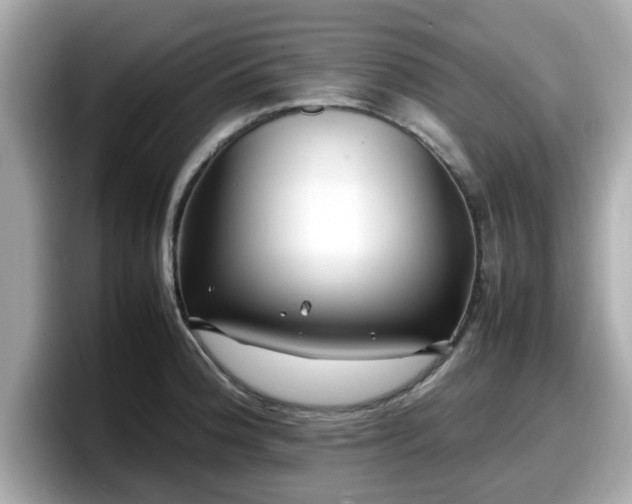 X0000098081188200804110936