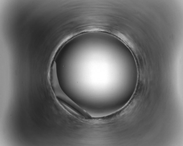 X0000098081189200804110936