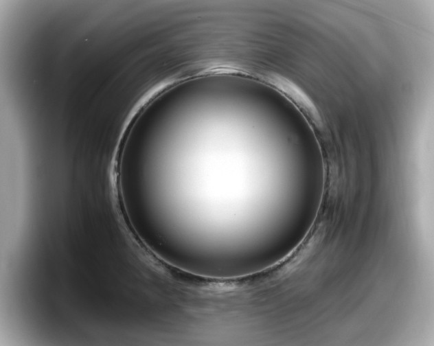 X0000098081190200804110936