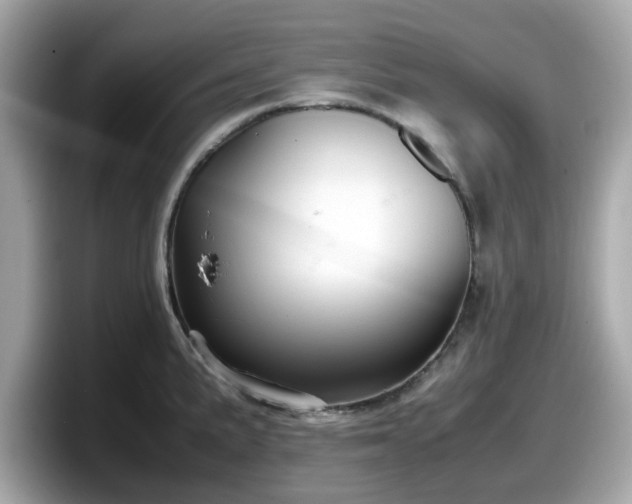 X0000098081191200804110936