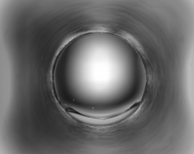 X0000098081192200804110936