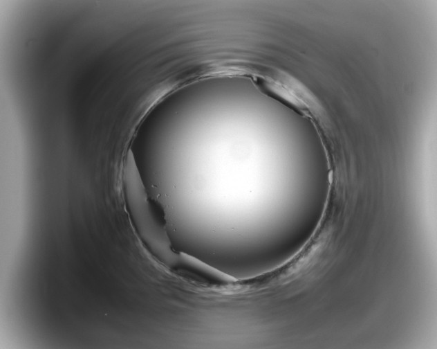 X0000098081193200804110936