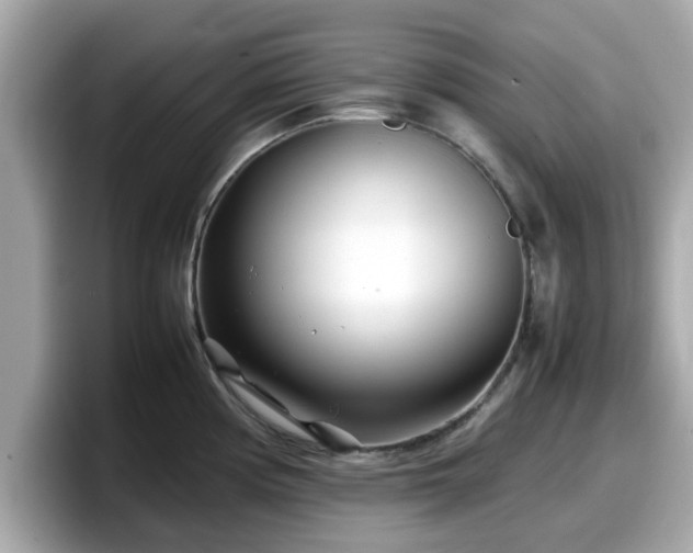 X0000098081194200804110936