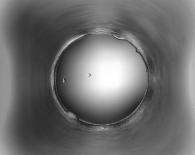 X0000098081195200804110936