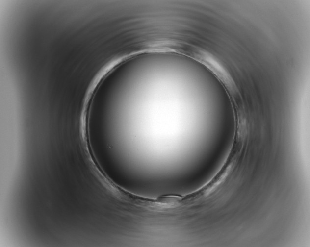 X0000098081196200804110936