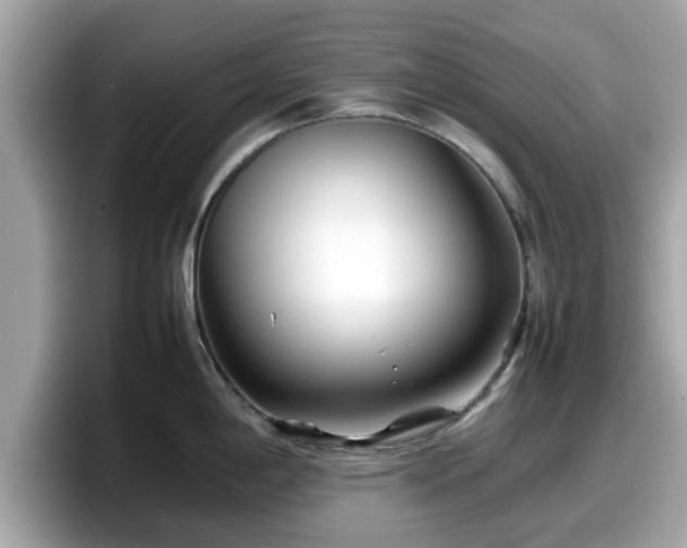 X0000098081198200804110936