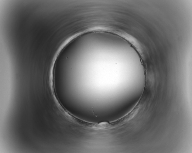 X0000098081199200804110936