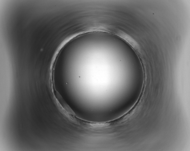 X0000098081200200804110936