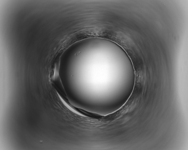X0000098081202200804110936