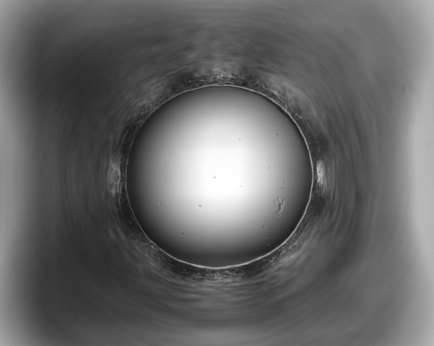 X0000098081203200804110936