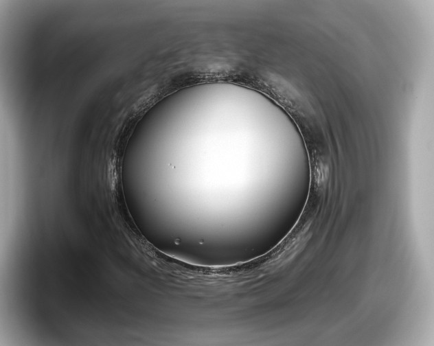 X0000098081204200804110936