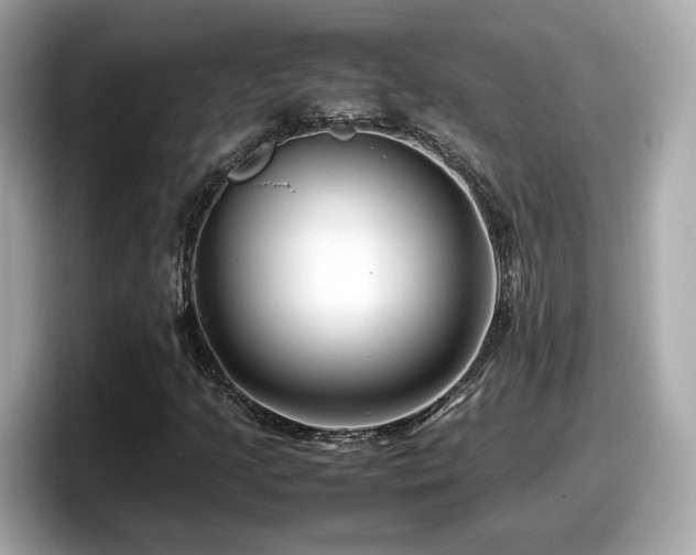 X0000098081205200804110936