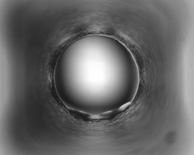 X0000098081206200804110936