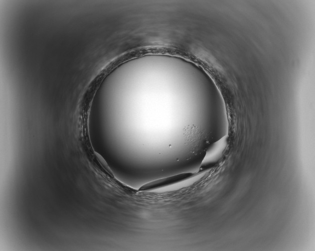 X0000098081208200804110936