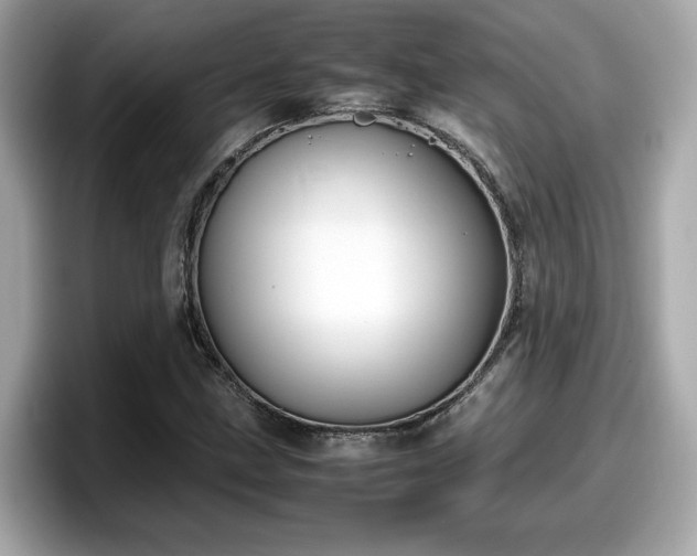 X0000098081211200804110936