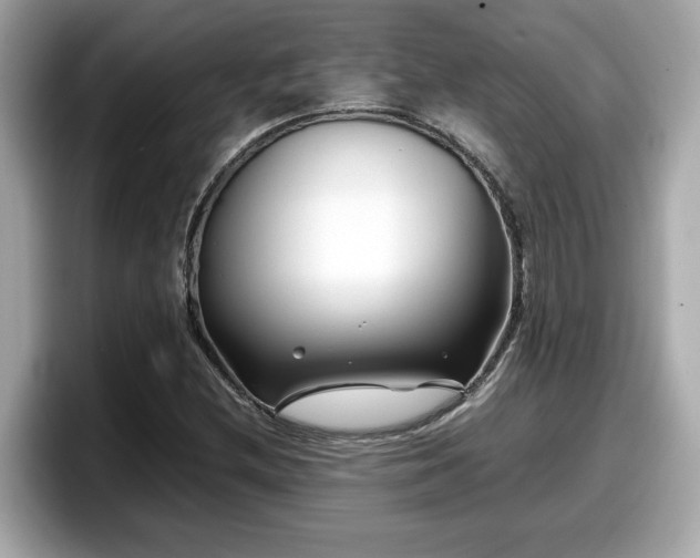 X0000098081212200804110936