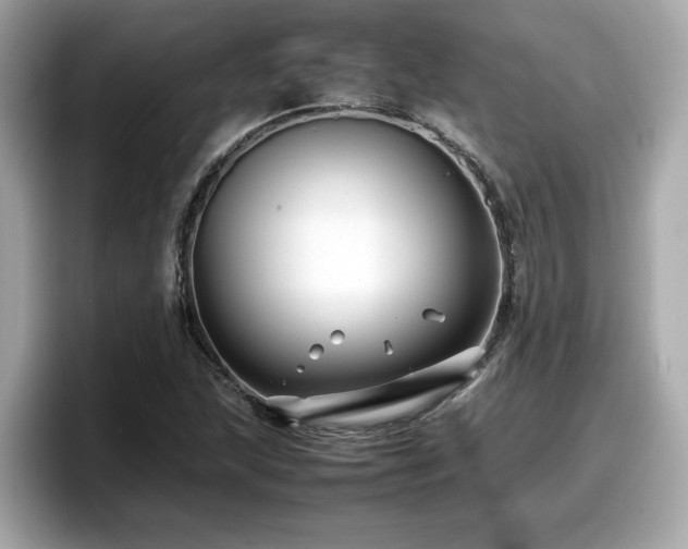 X0000098081215200804110936