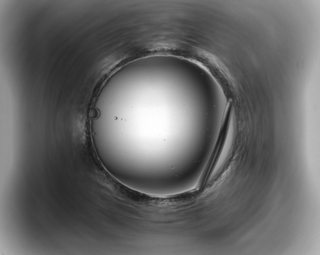 X0000098081217200804110936