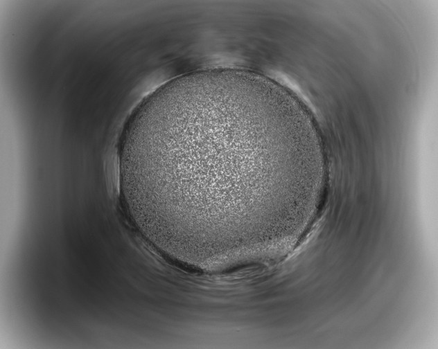 X0000098081219200804110936