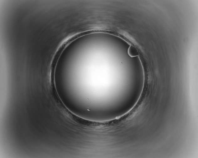 X0000098081222200804110936