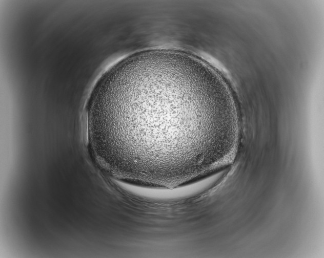 X0000098081223200804110936