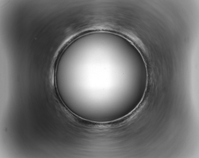 X0000098081224200804110936