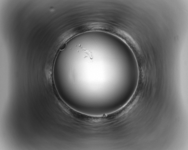 X0000098081225200804110936