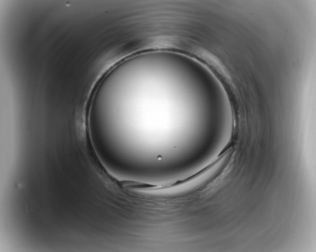 X0000098081226200804110936