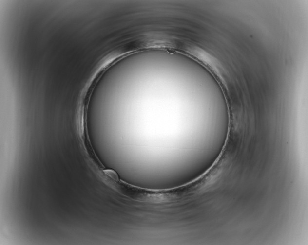 X0000098081227200804110936