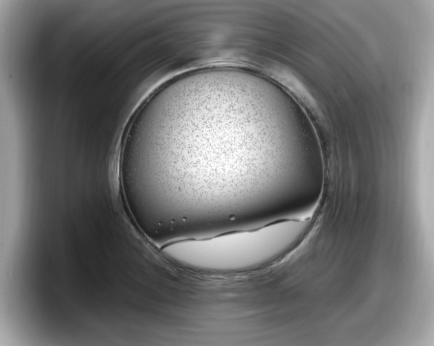 X0000098081228200804110936