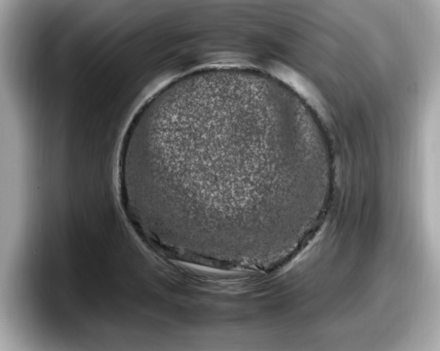 X0000098081229200804110936
