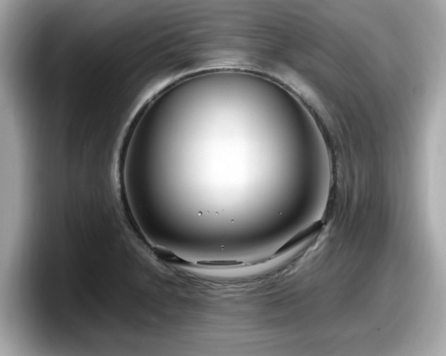 X0000098081230200804110936