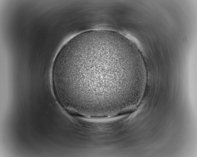X0000098081231200804110936