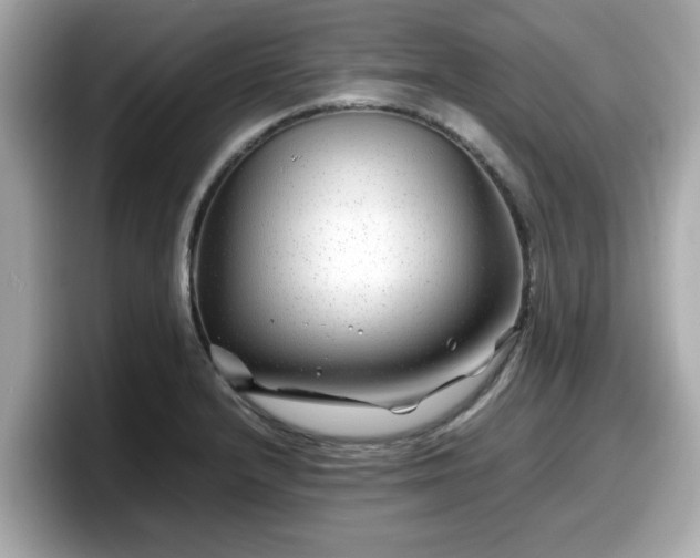 X0000098081232200804110936